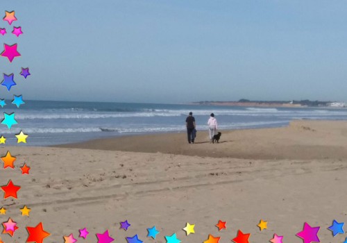 ¿Donde se encuentra la Felicidad?