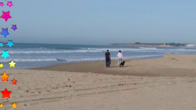 ¿Donde se encuentra la Felicidad?